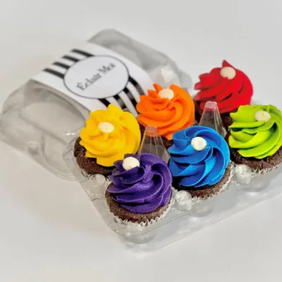 Caixa 06 Cupcakes Arco-íris